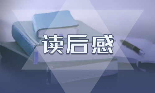 《追风筝的人》优秀读后感
