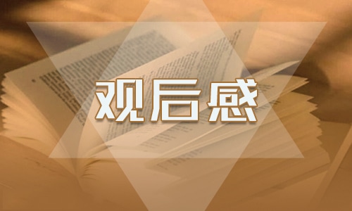 2023思政大讲堂“融媒体时代如何与青年有效沟通”直播观后感