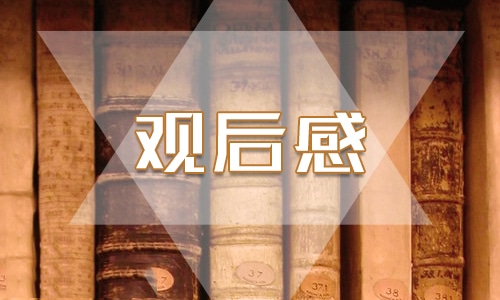 师德师风典型事迹材料范文