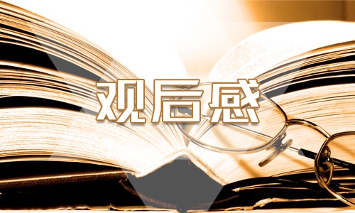 关于优秀教师典型事迹材料