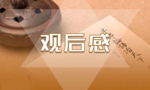 最新感动中国观后感范文